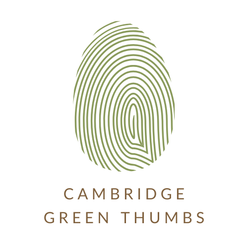 Cambridge Green Thumbs